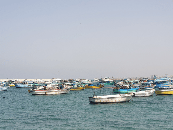 The Mediterranean Sea (Optional Tour)