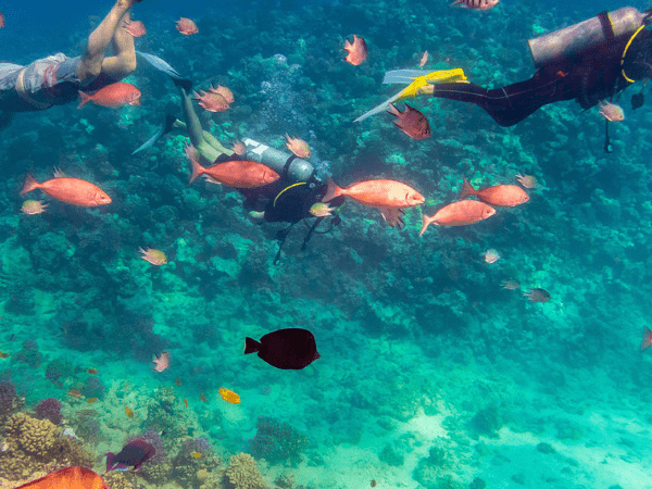 Sailing in the Hurghada Red sea for one hour (Optional)
