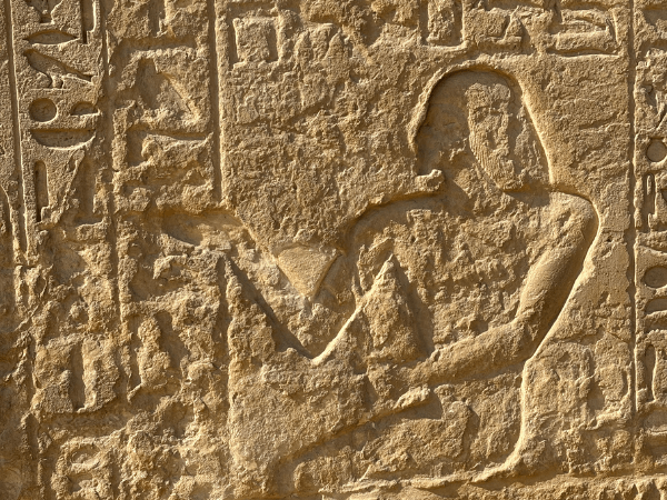 Visit Teti Pyramid and Tomb of Kagemni