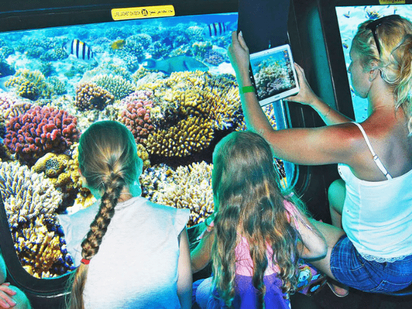 Sailing in the Sharm Bay for one hour