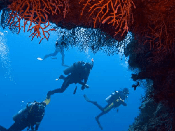 Lunch and Second Dive at Marsa Shouna