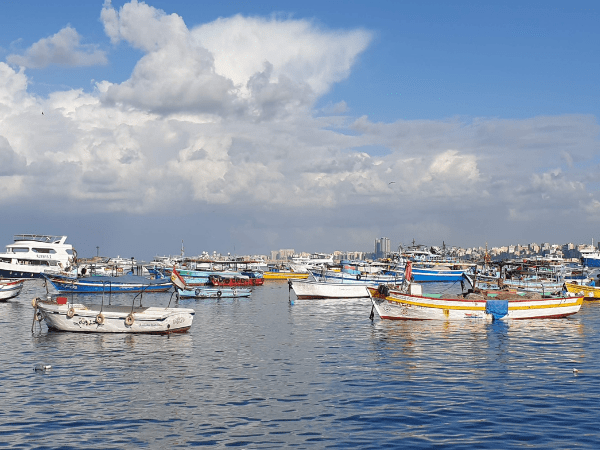 Day 2: Travel To Alexandria