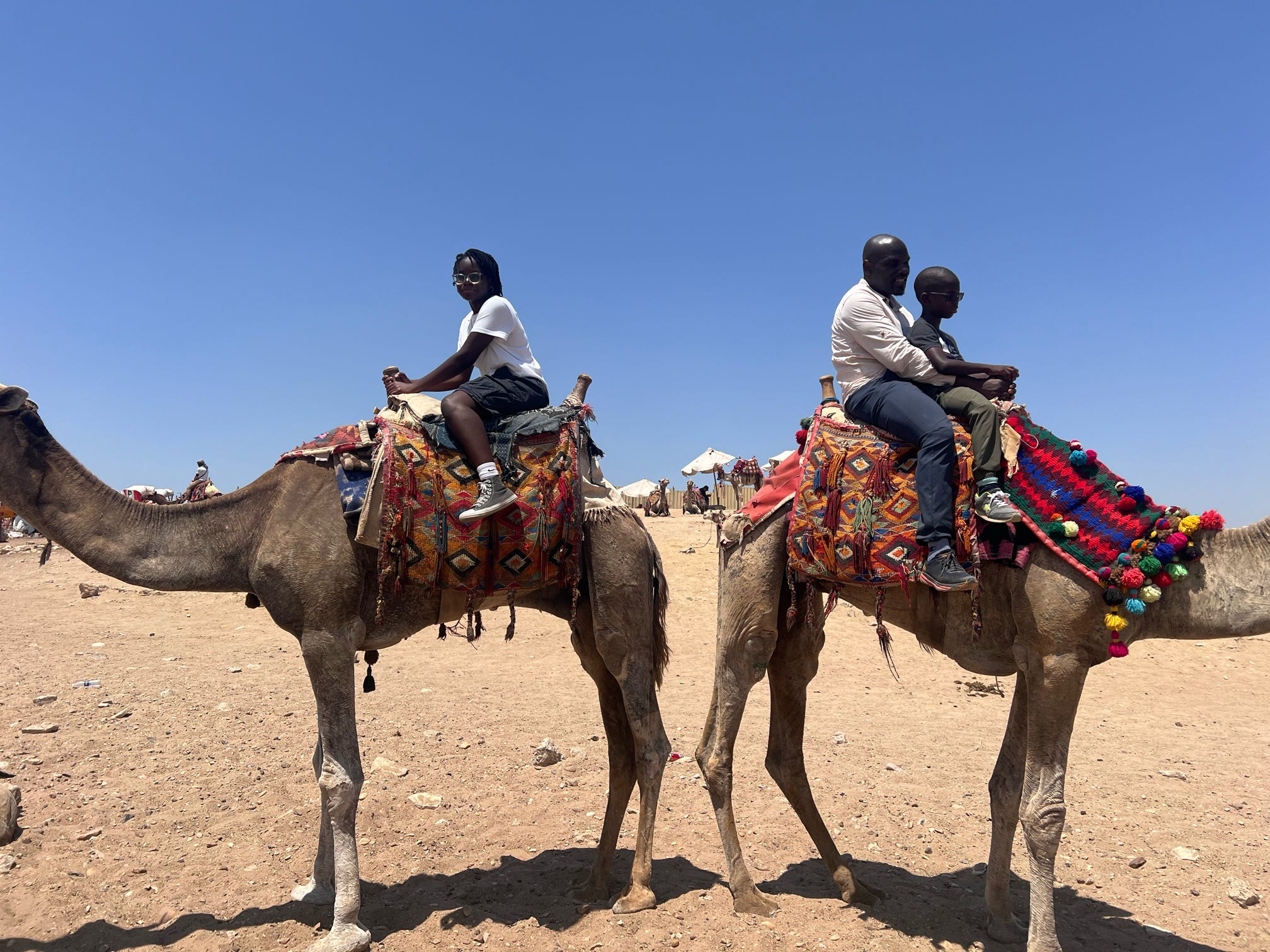 Camel Riding (Optional Tour)