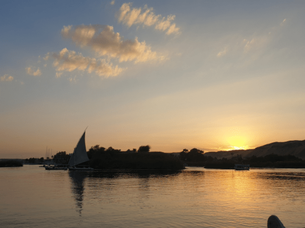 Swimming In The Nile