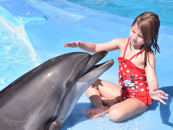 Swim with Dolphins for 15 minutes
